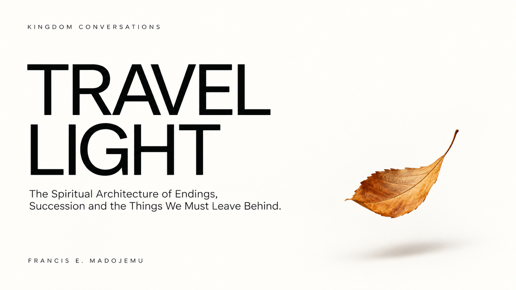 Cover of TRAVEL LIGHT